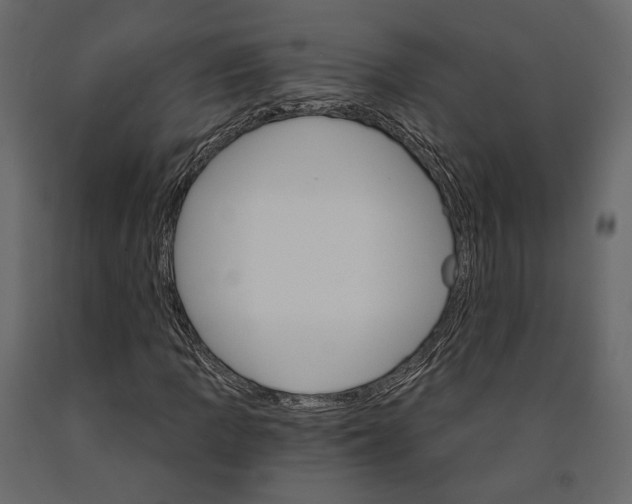 X0000090911109200708270959