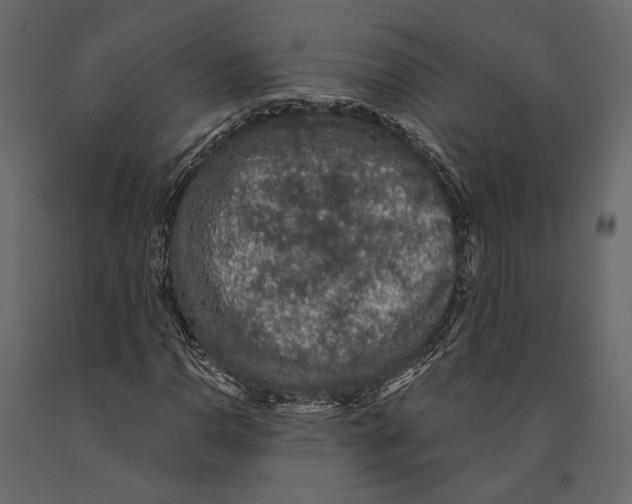 X0000090911110200708270959