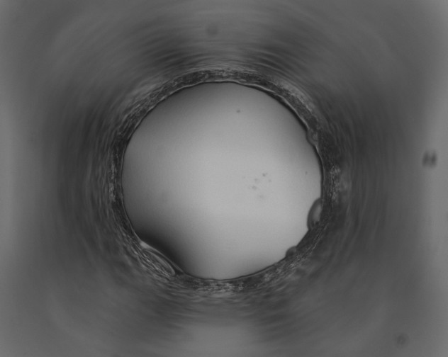 X0000090911111200708270959