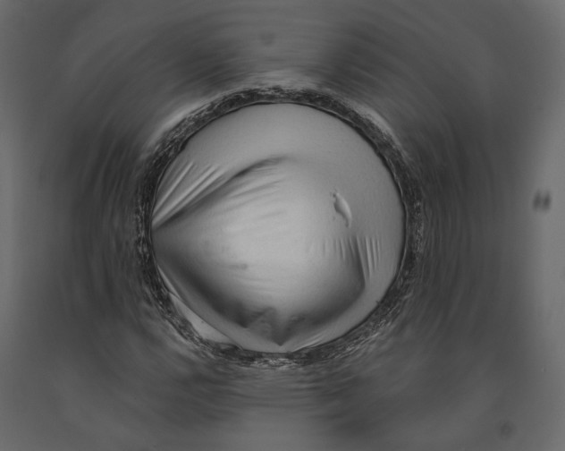 X0000090911112200708270959