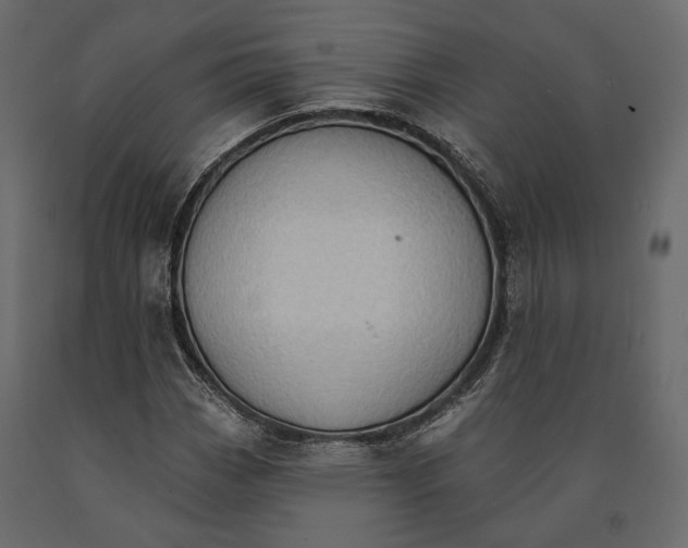 X0000090911113200708270959