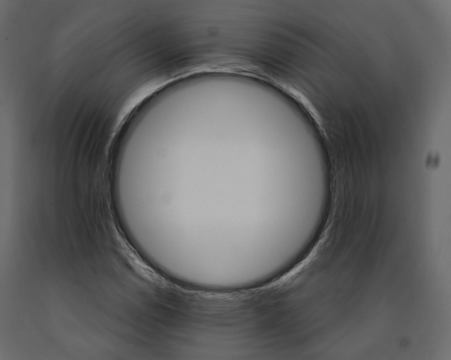 X0000090911114200708270959