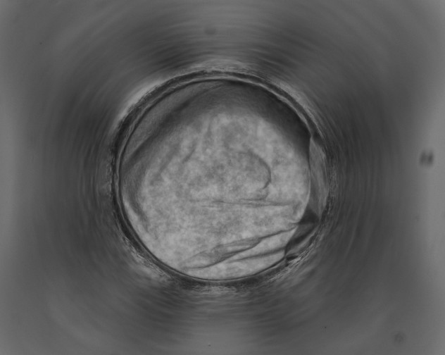 X0000090911115200708270959