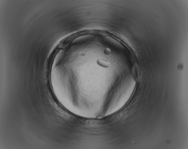 X0000090911116200708270959