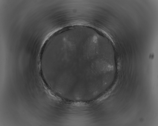 X0000090911117200708270959