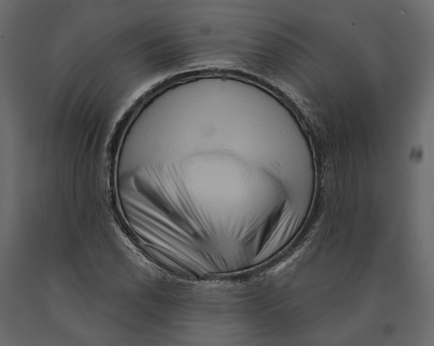 X0000090911118200708270959