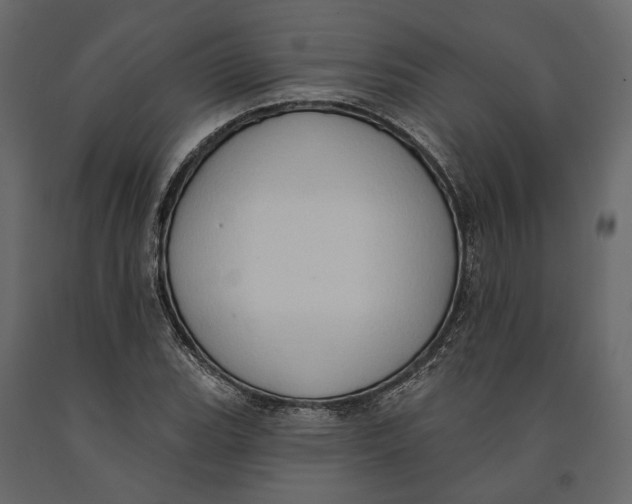 X0000090911119200708270959