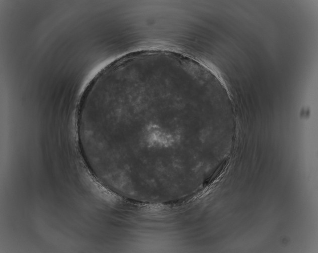 X0000090911120200708270959