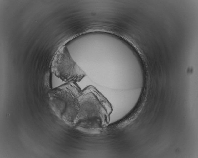 X0000090911121200708270959