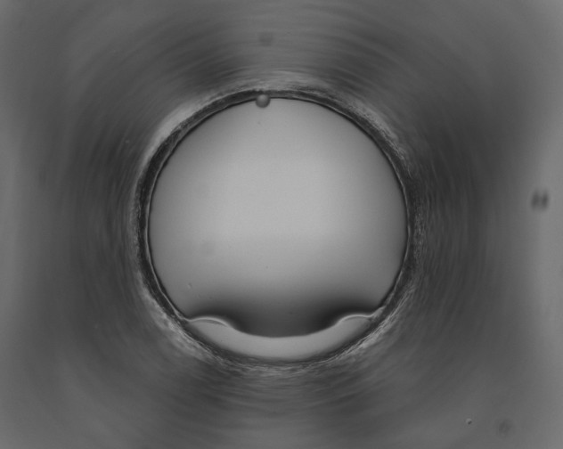 X0000090911122200708270959