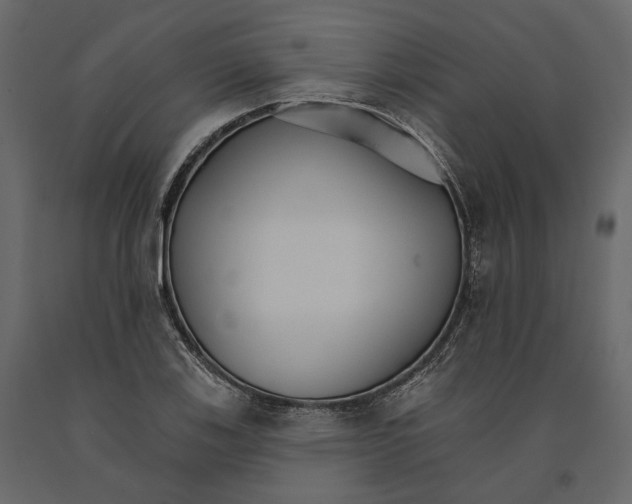 X0000090911123200708270959