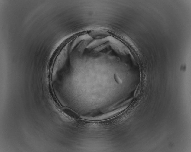 X0000090911124200708270959