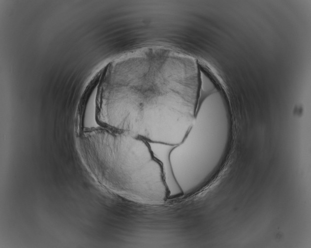 X0000090911125200708270959