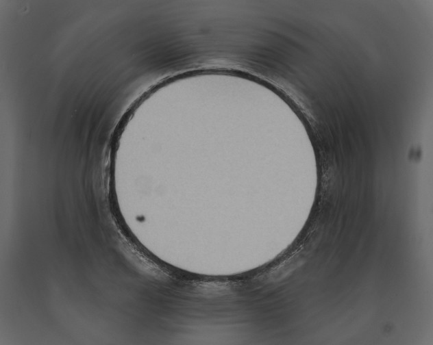 X0000090911126200708270959