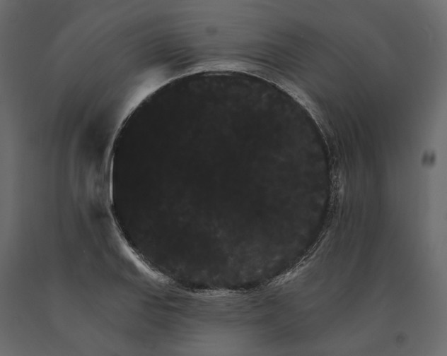 X0000090911127200708270959