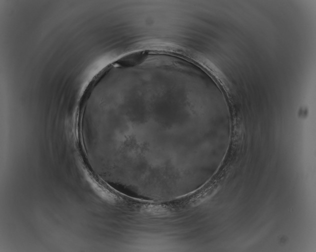 X0000090911128200708270959