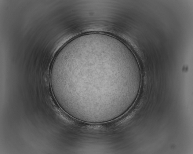 X0000090911129200708270959