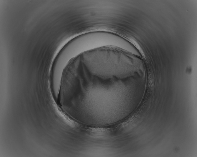 X0000090911132200708270959