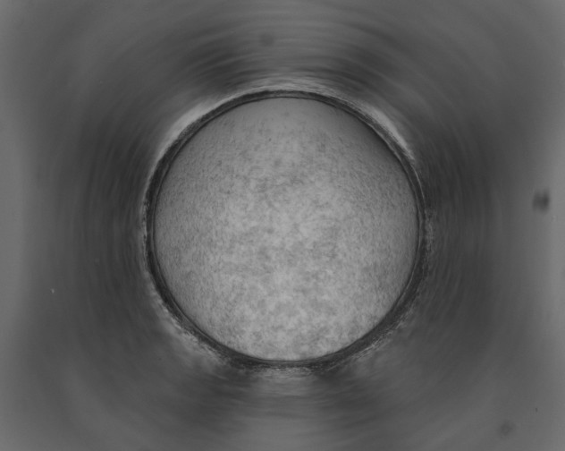 X0000090911133200708270959