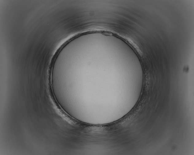 X0000090911134200708270959