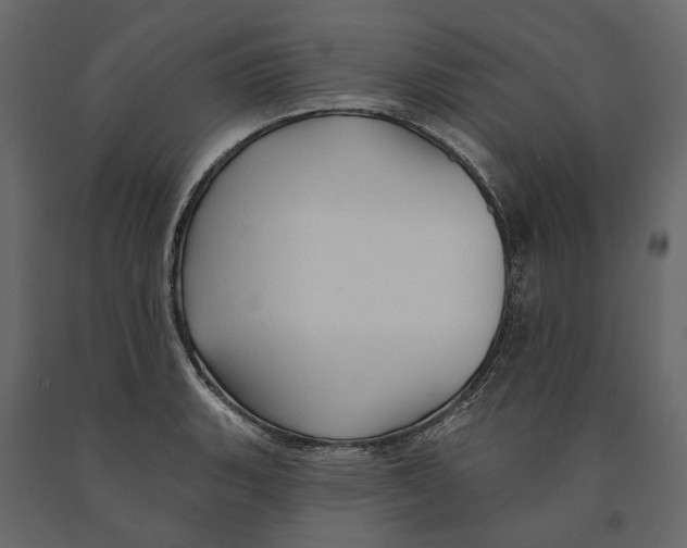 X0000090911135200708270959