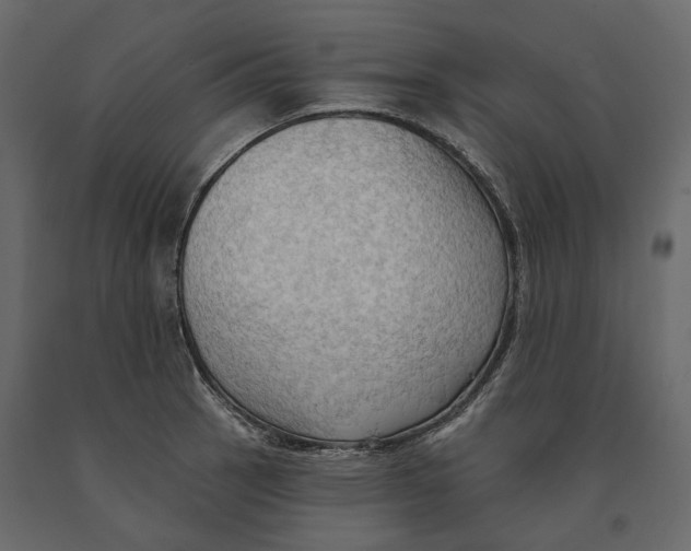 X0000090911137200708270959