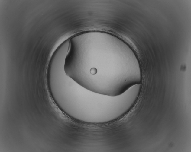 X0000090911138200708270959