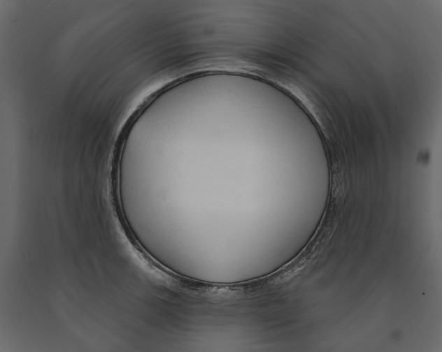 X0000090911139200708270959