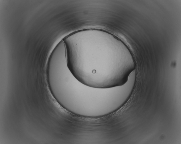 X0000090911140200708270959