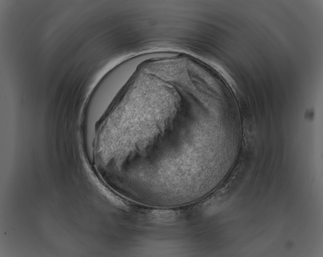 X0000090911142200708270959