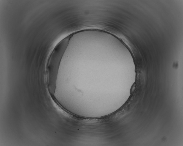 X0000090911143200708271000