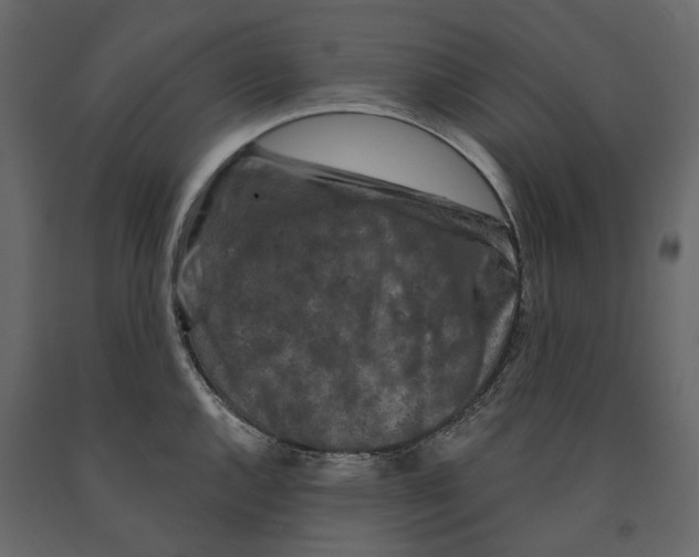 X0000090911144200708271000