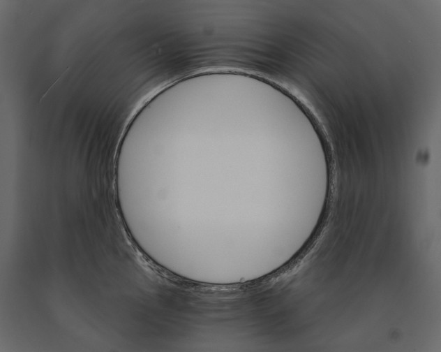 X0000090911145200708271000