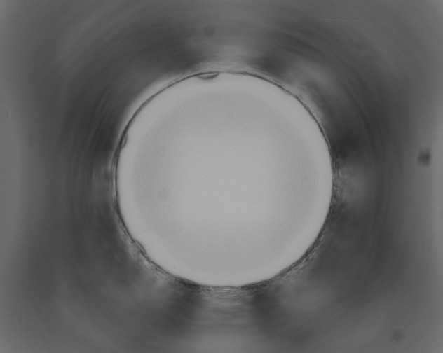 X0000090911150200708271000