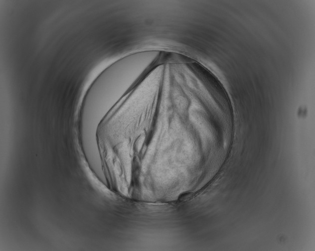 X0000090911152200708271000