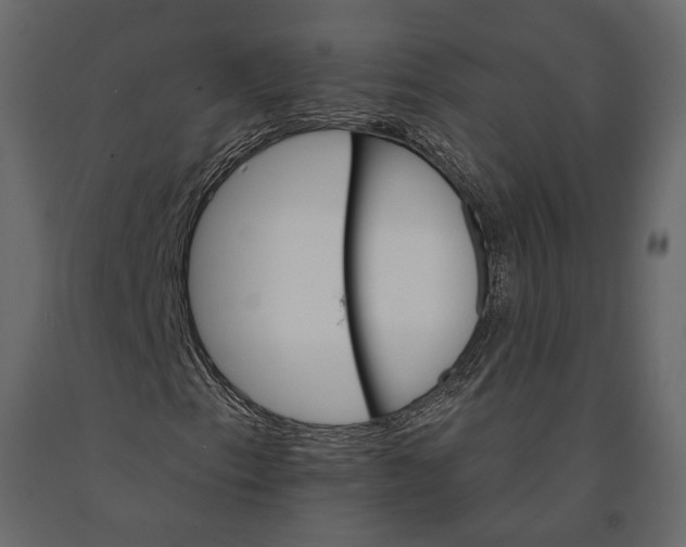 X0000090911153200708270959