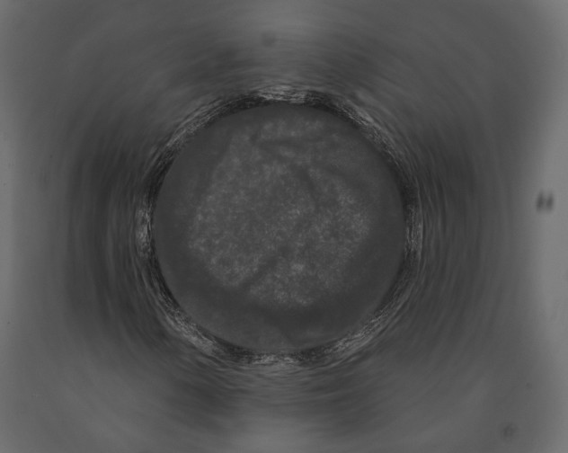 X0000090911154200708270959