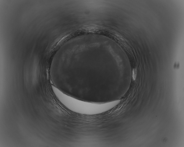 X0000090911155200708270959