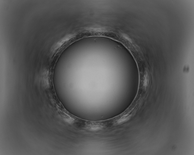 X0000090911157200708270959