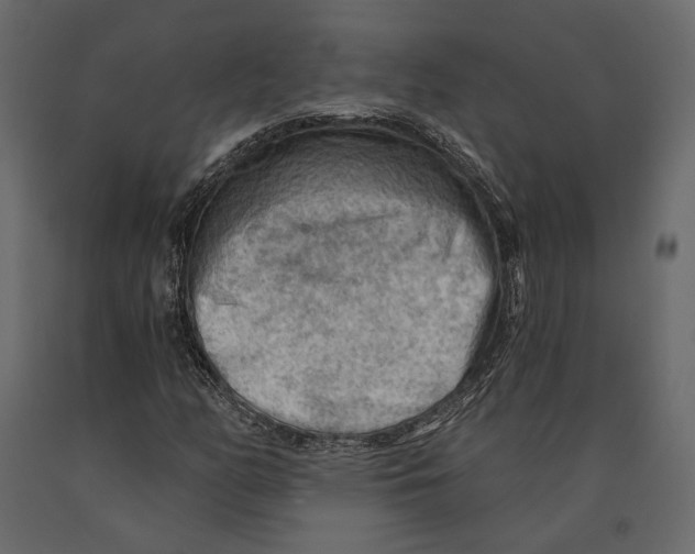 X0000090911158200708270959