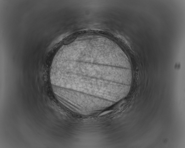 X0000090911159200708270959