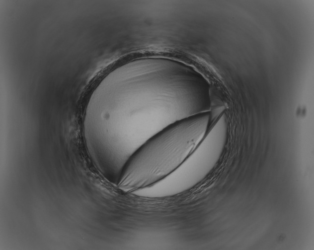 X0000090911160200708270959