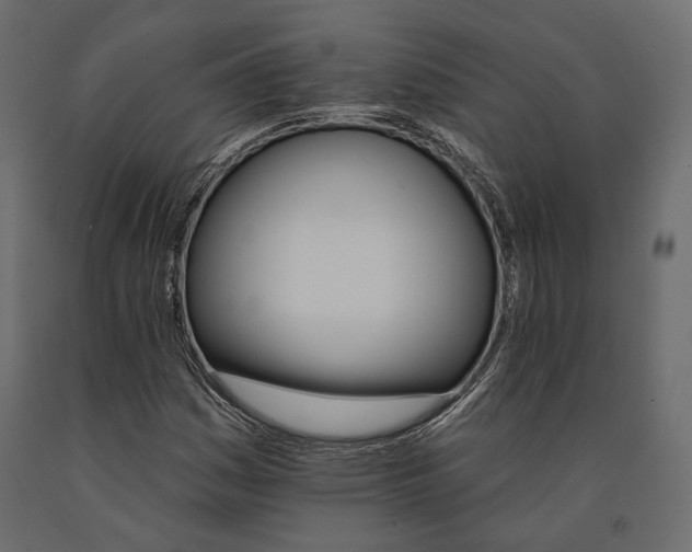 X0000090911161200708270959