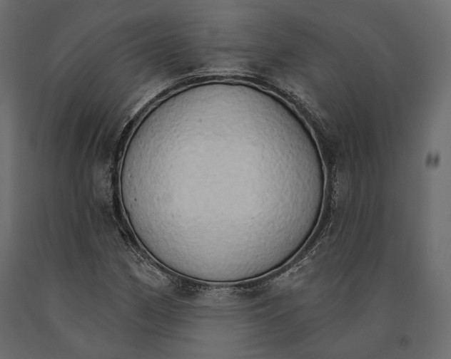 X0000090911162200708270959