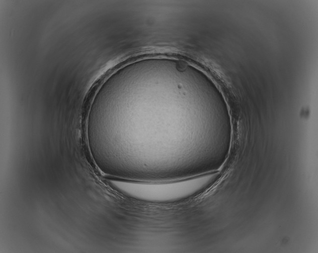 X0000090911165200708270959