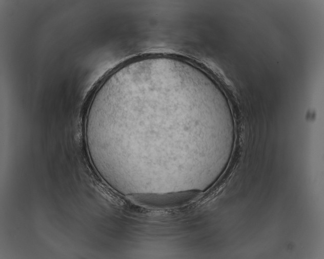 X0000090911167200708270959