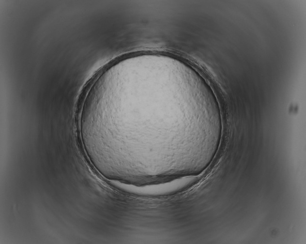 X0000090911168200708270959