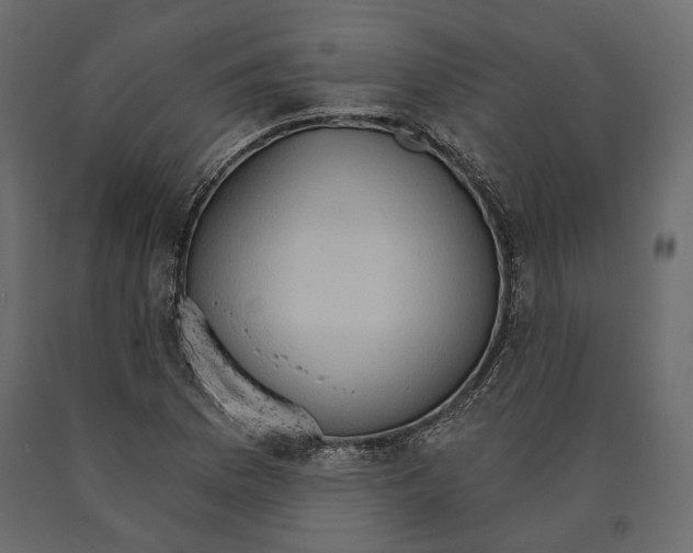 X0000090911169200708270959