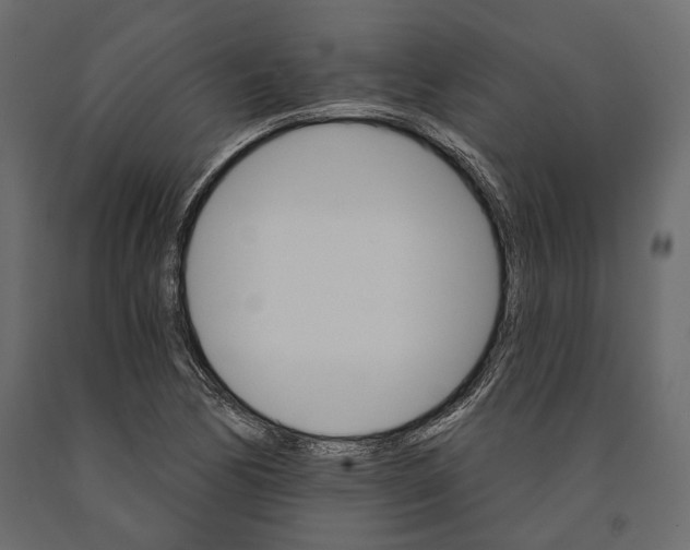 X0000090911170200708270959