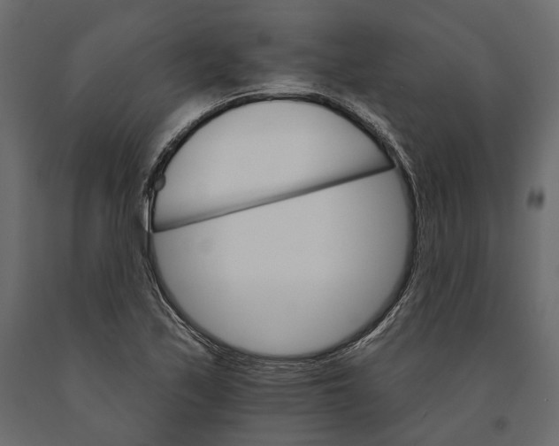 X0000090911171200708270959